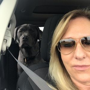 Meet your Posher, Debbie